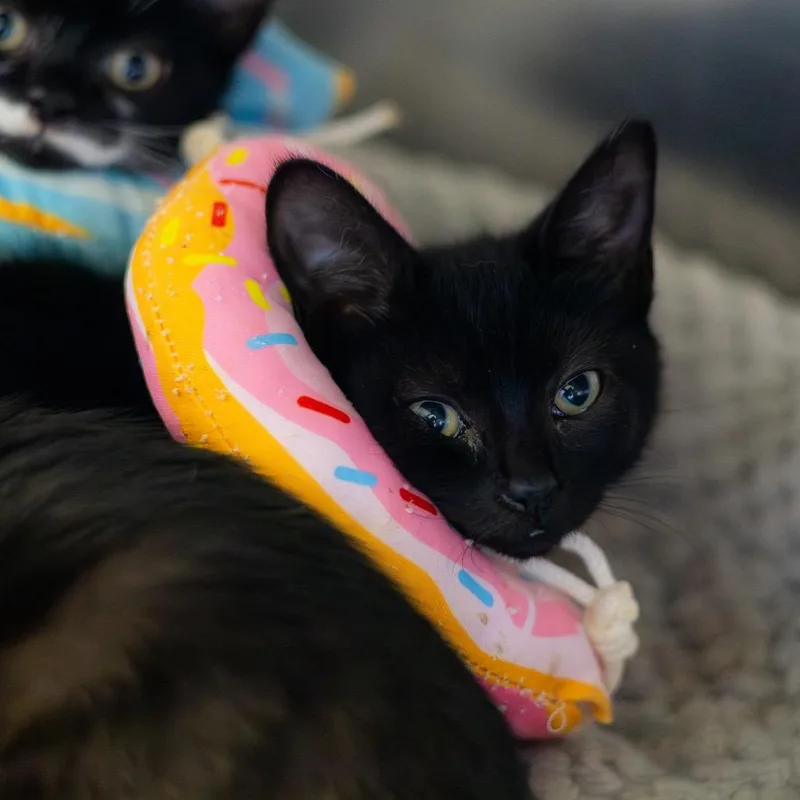 Sabrina thumbnail 2