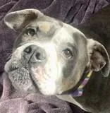 Gladys thumbnail 2