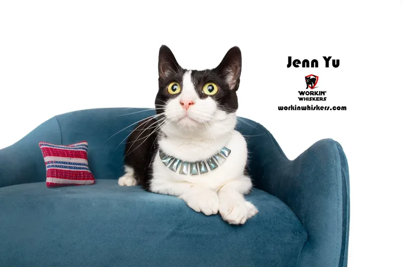 Jenn Yu thumbnail 3