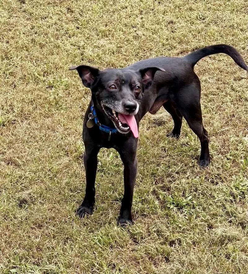 Kodak