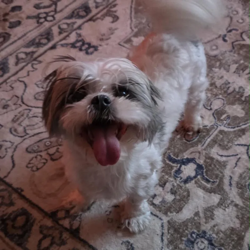 Sophie thumbnail 5