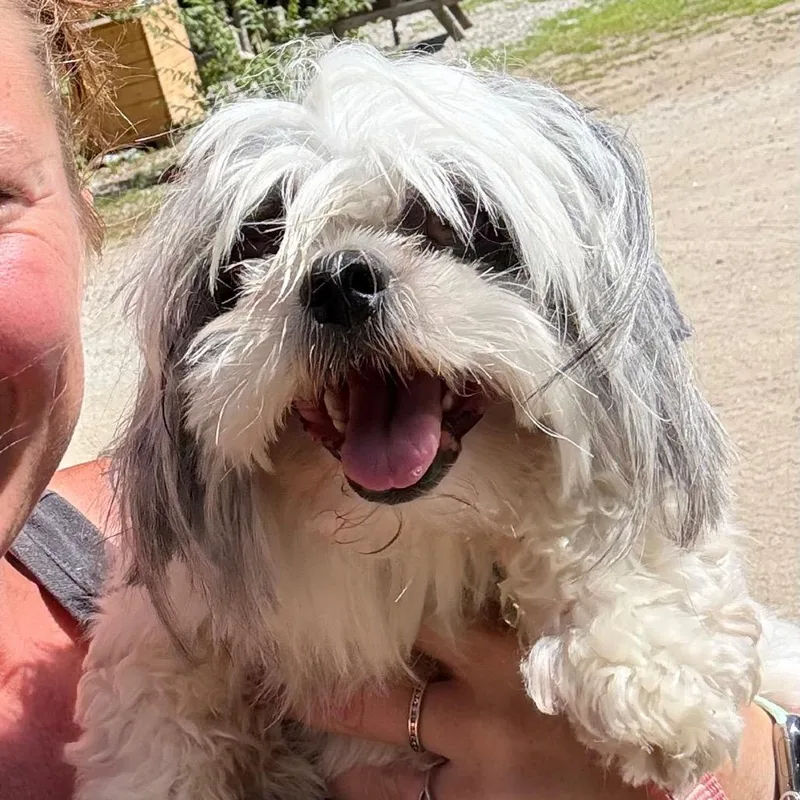 Sophie thumbnail 6