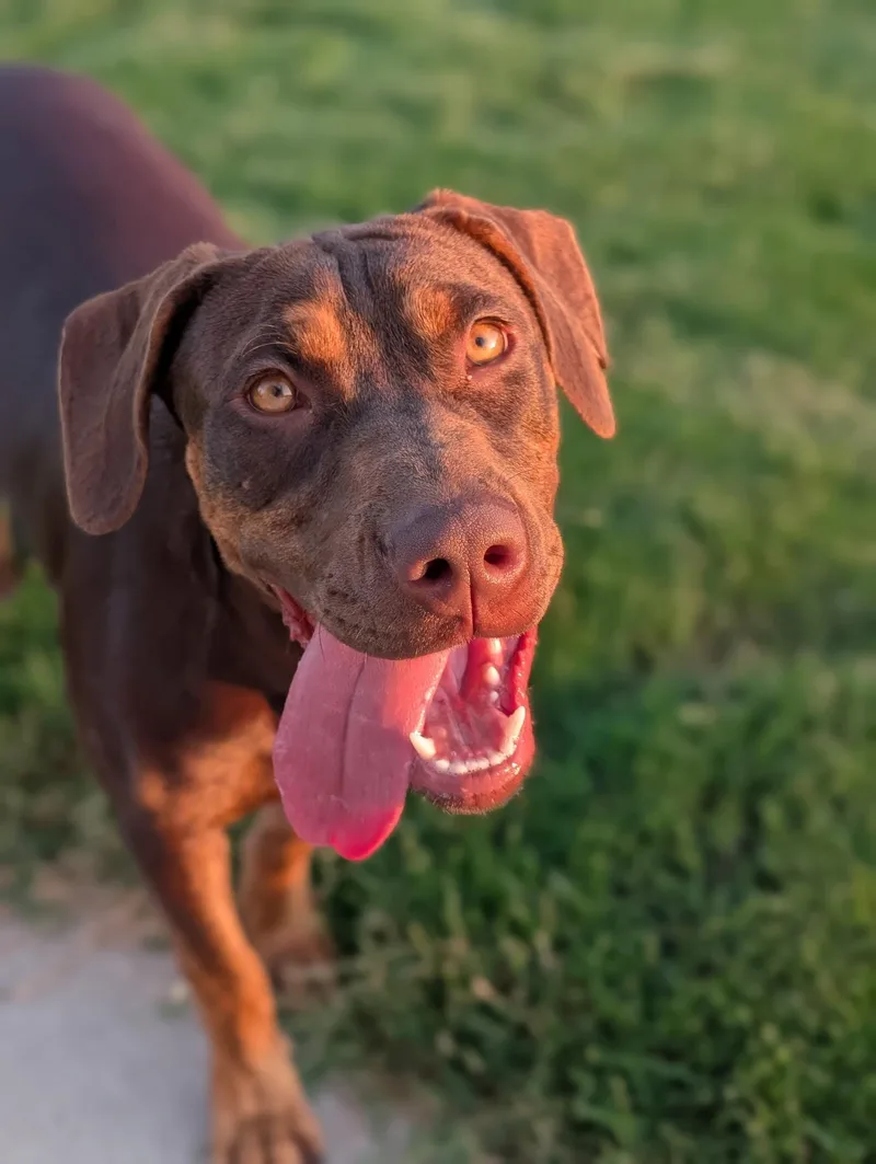 Ruby