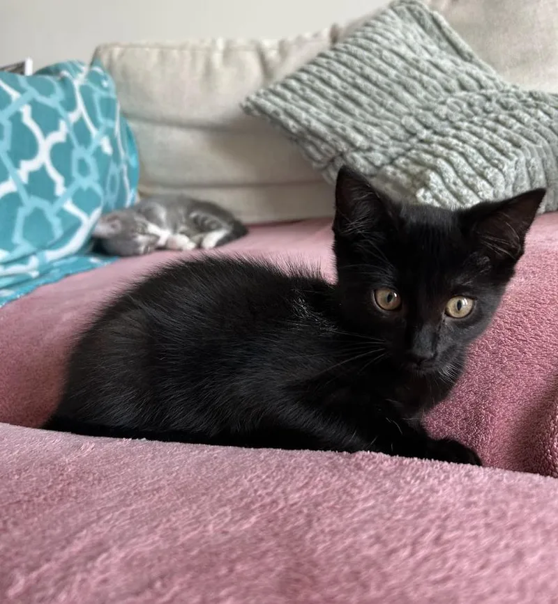 Hilda