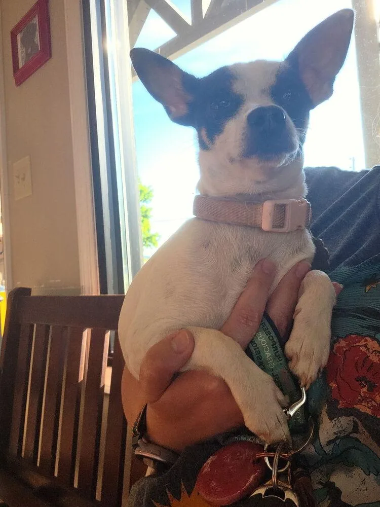 Chloe