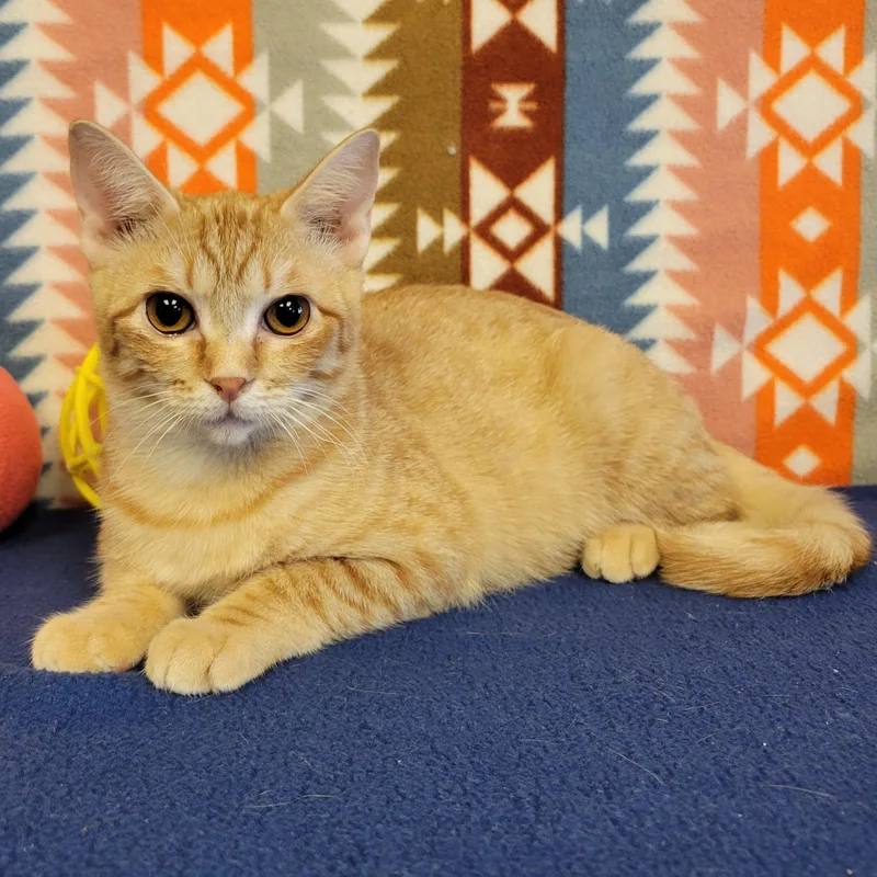 Petra