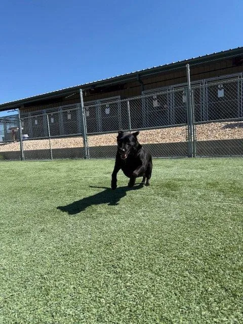 Betty thumbnail 3