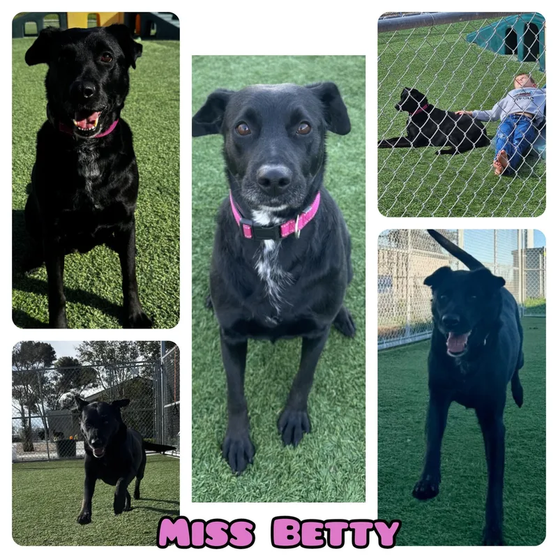 Betty thumbnail 4