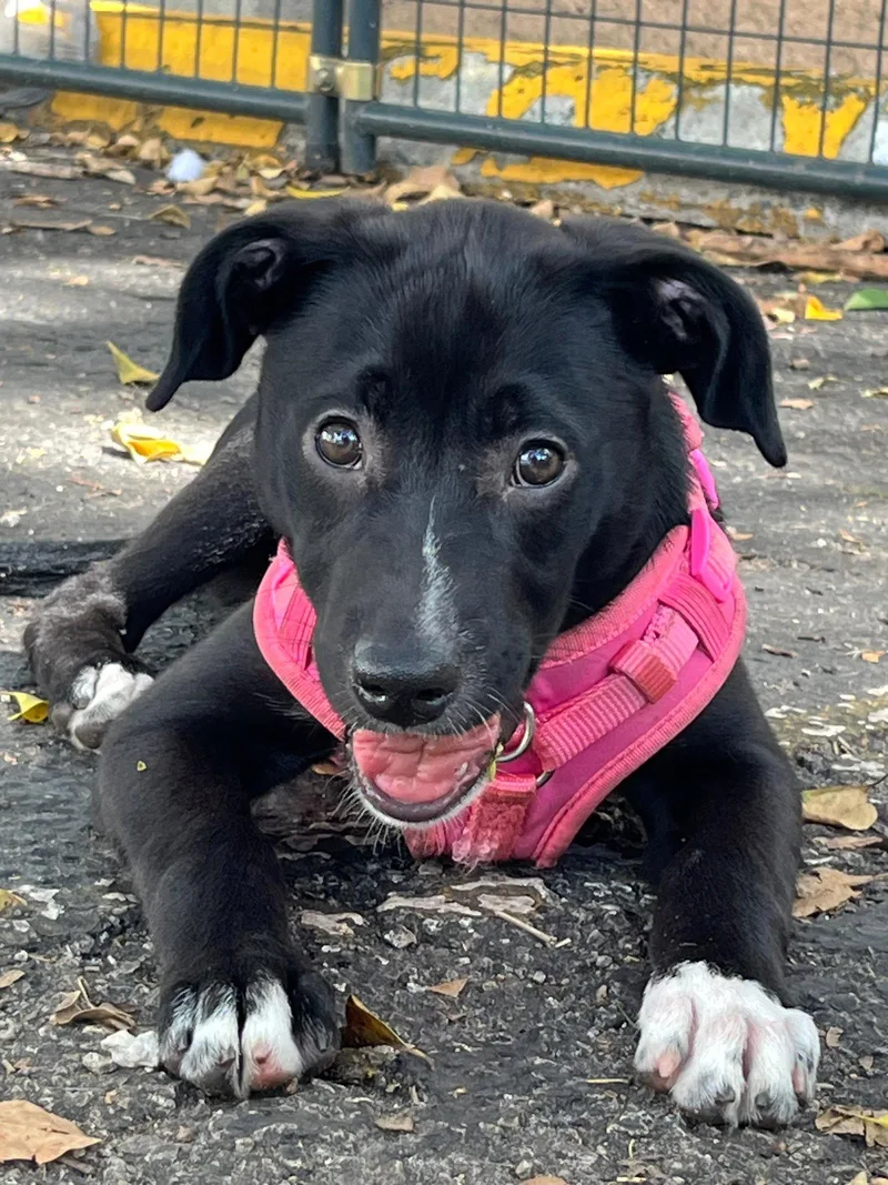 Luna