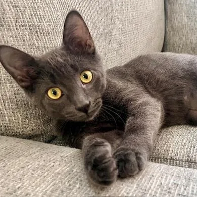 Mczoomalot thumbnail 4