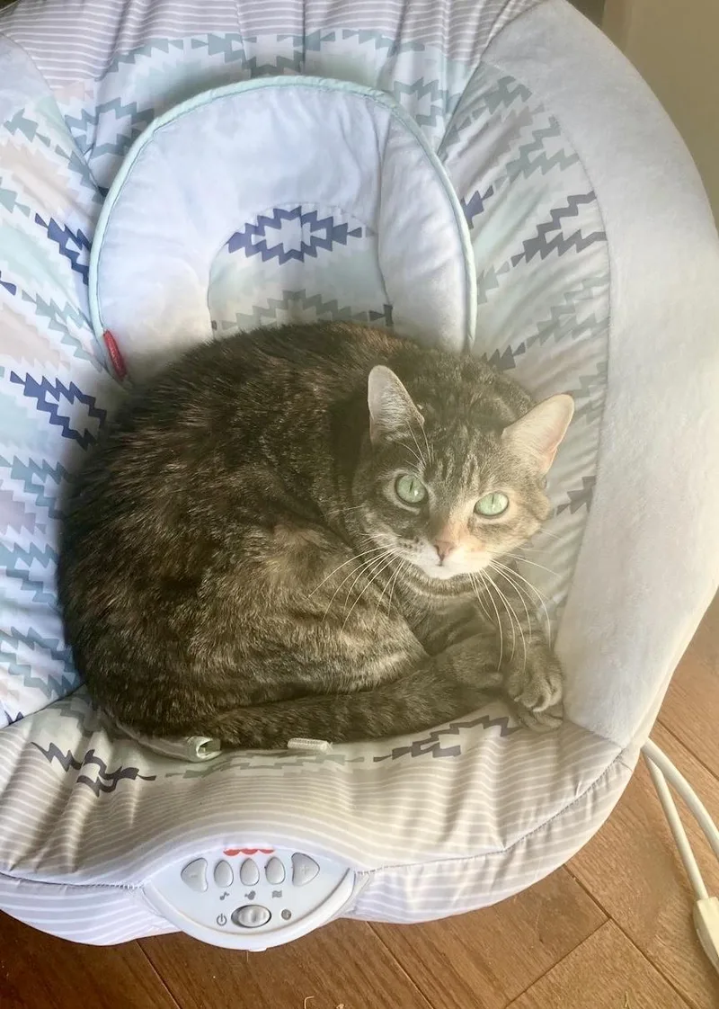 Crunch Wrap Supreme thumbnail 5