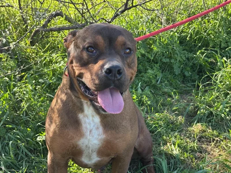 Grootrockdale  Tx thumbnail 3