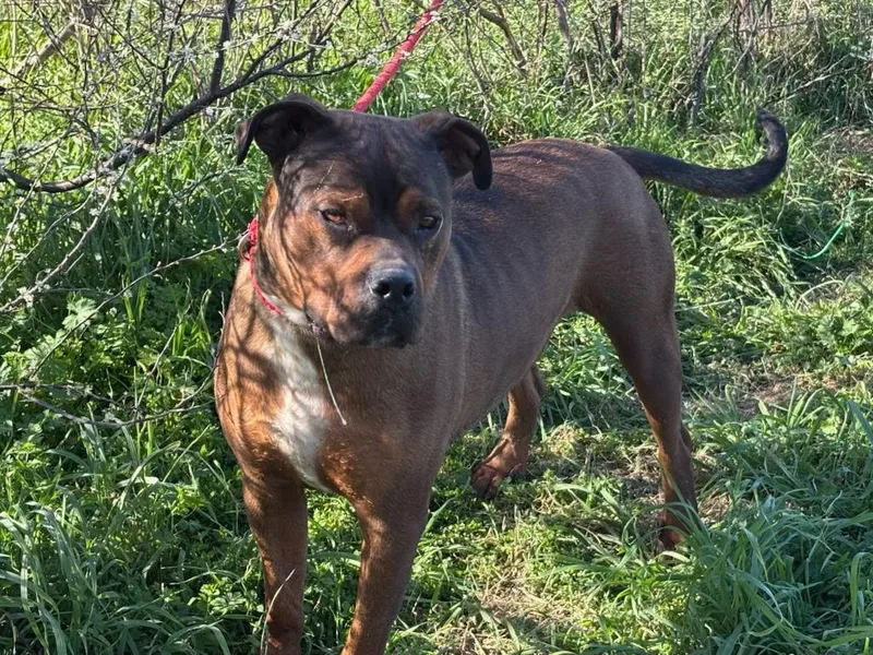 Grootrockdale  Tx thumbnail 5