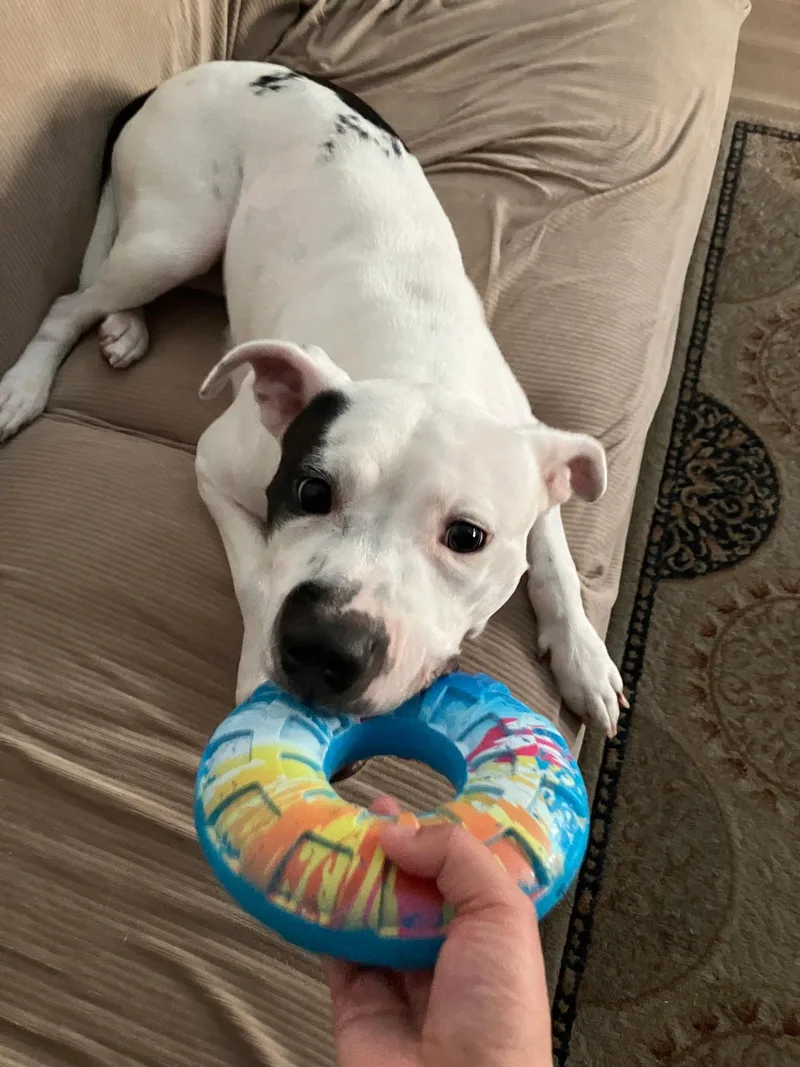 Mama Darla thumbnail 2