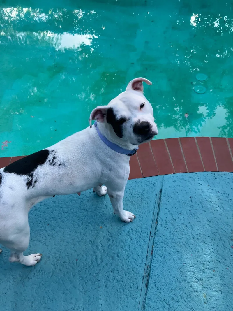 Mama Darla thumbnail 3