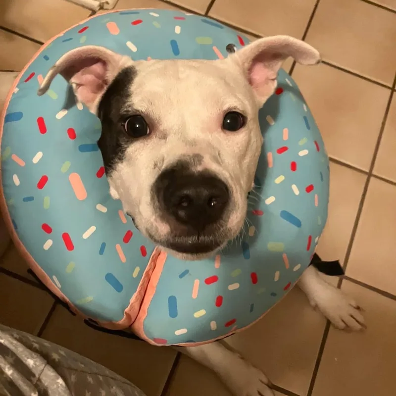 Mama Darla thumbnail 5