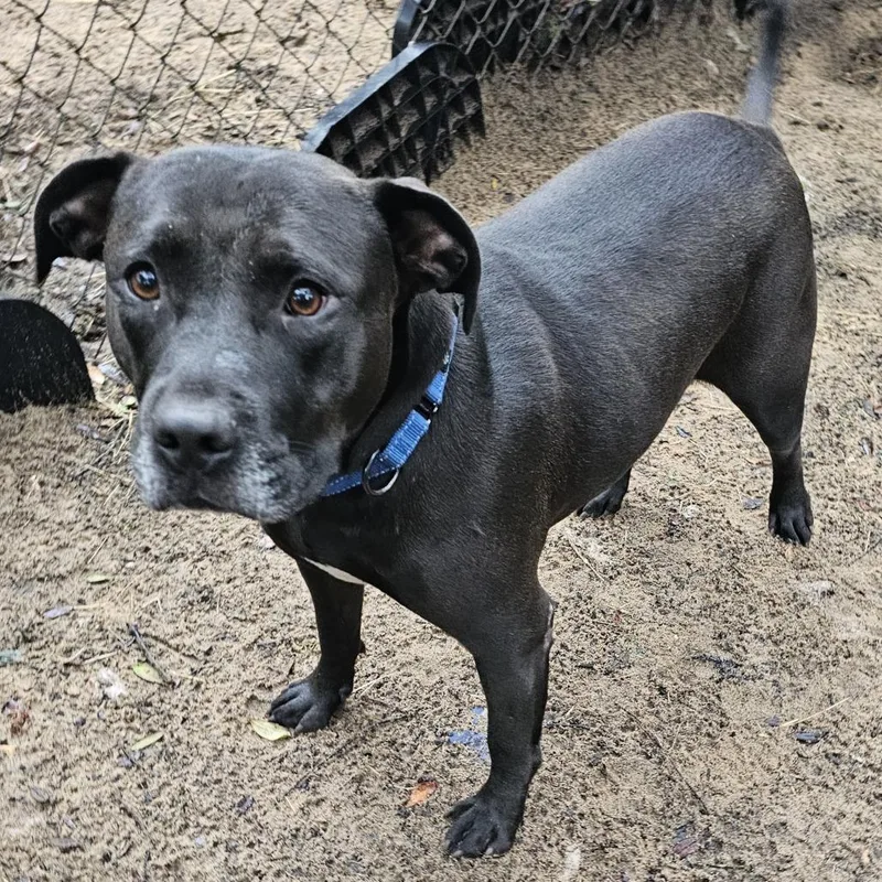 Katherine thumbnail 2