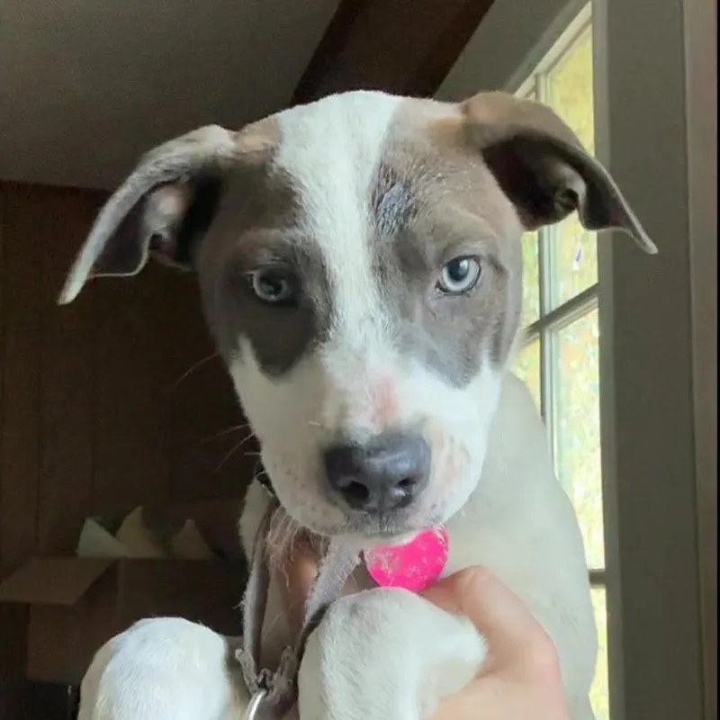 Lilly Arriving  D thumbnail 2
