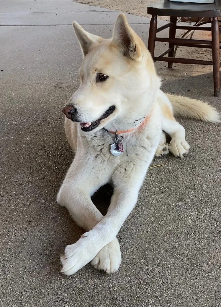 Nikko Aka Ice thumbnail 3