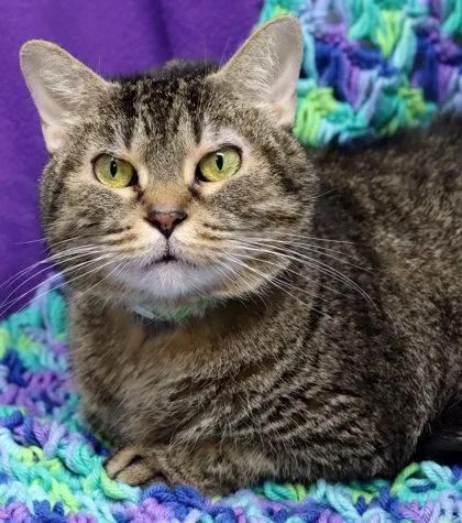 Fuzzibottoms thumbnail 2