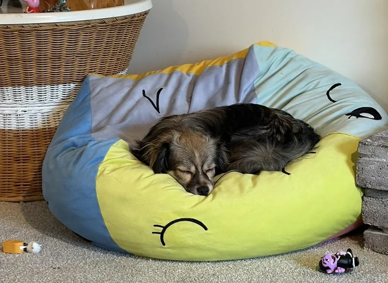 Ty thumbnail 2