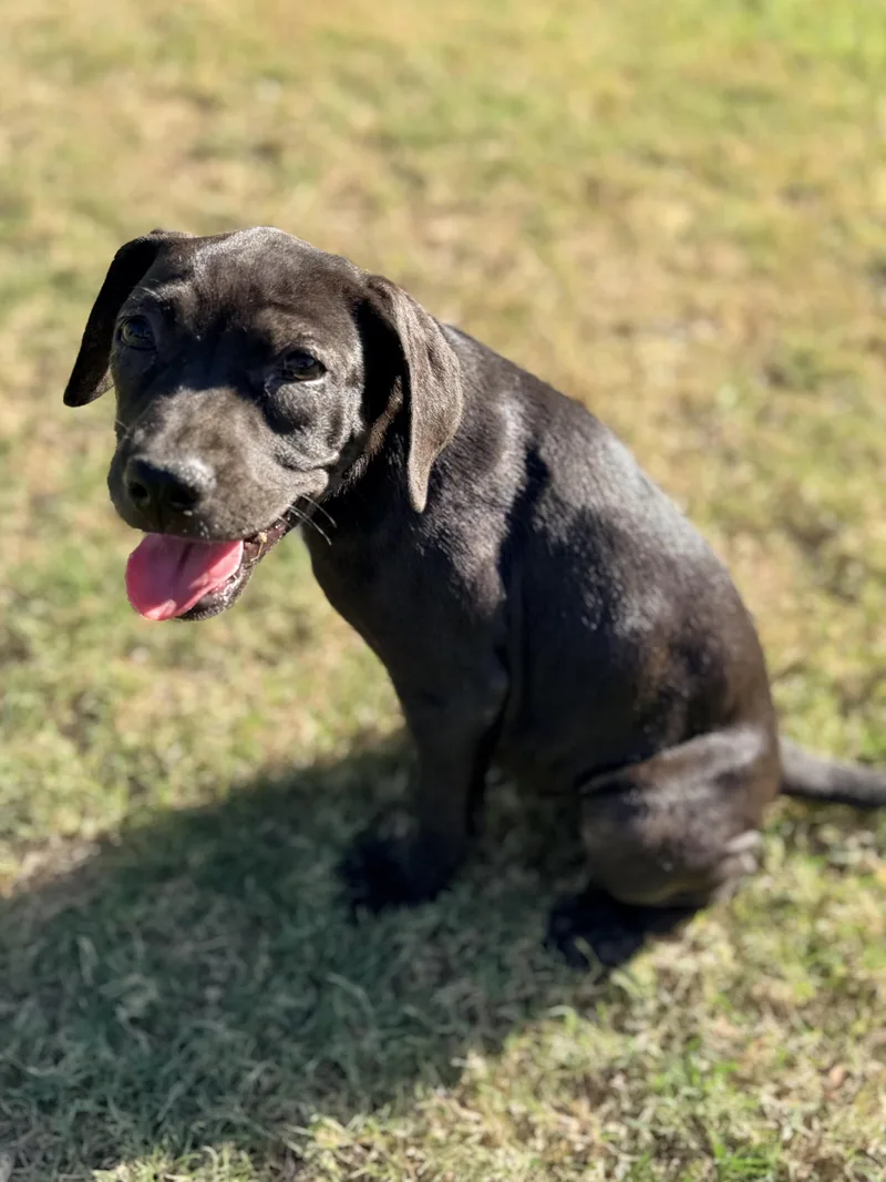 Zoe