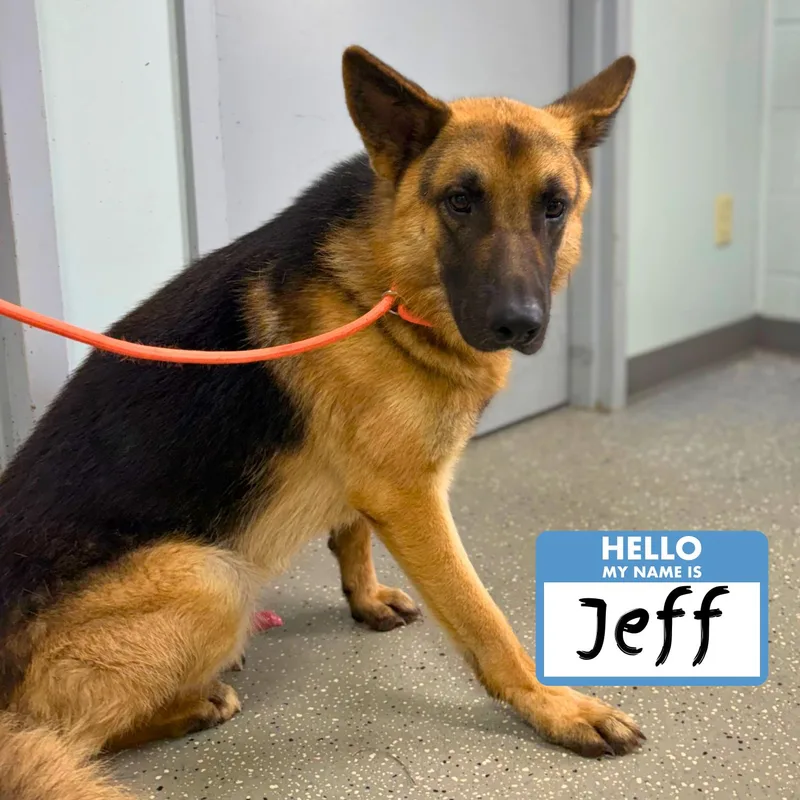 Jeff thumbnail 4