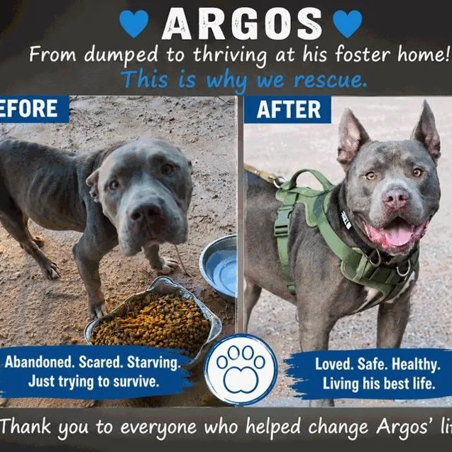 Argos thumbnail 3