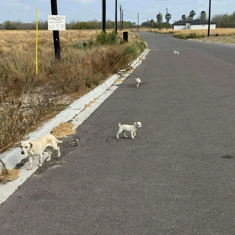 Brinley C thumbnail 2