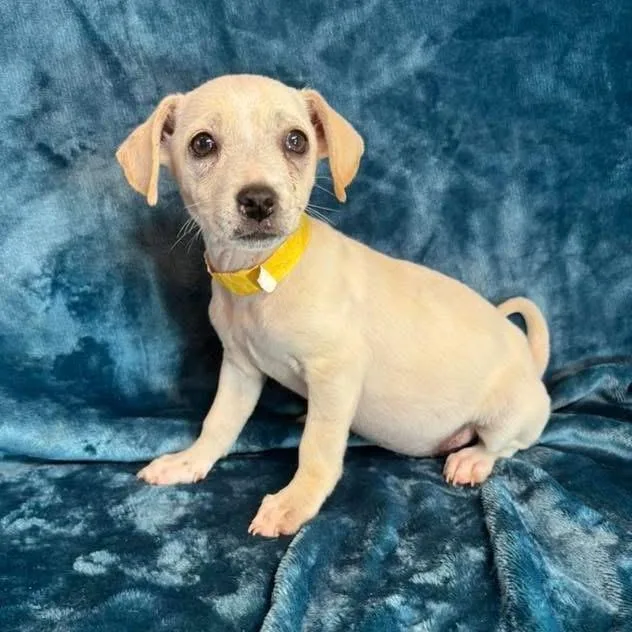 Brinley C thumbnail 4