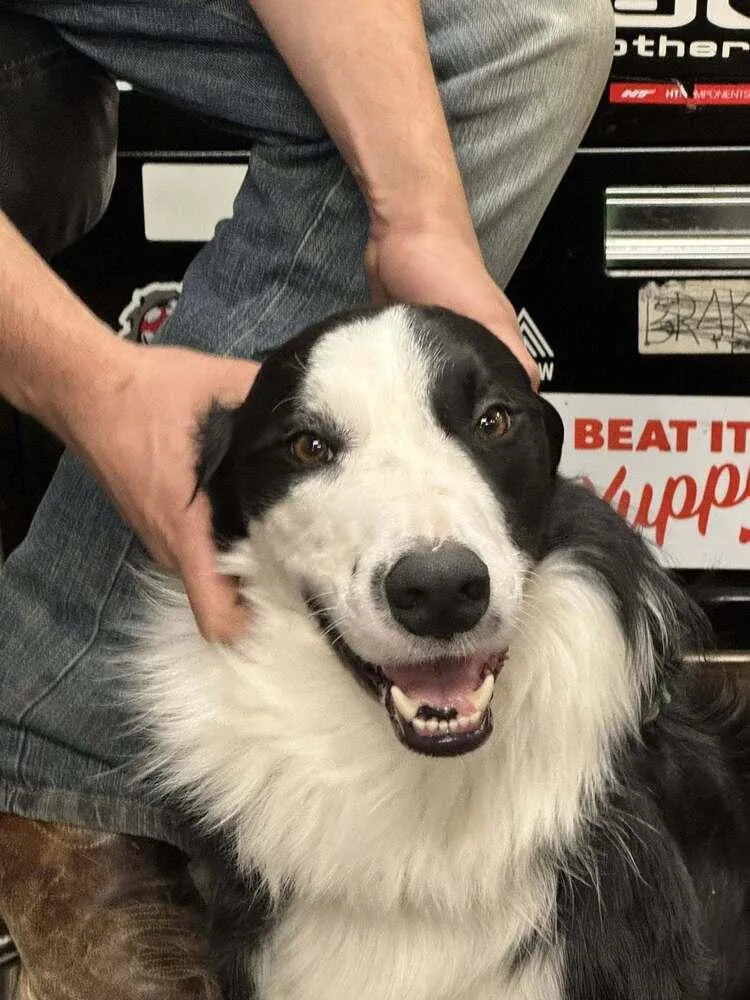 Monty Ca thumbnail 3