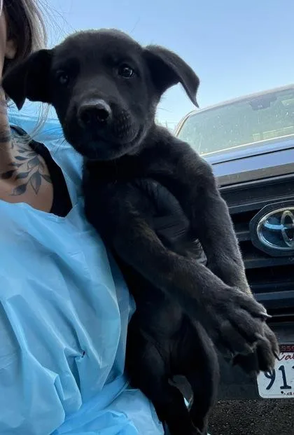 Skye