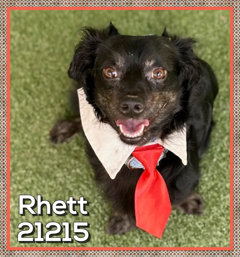Rhett