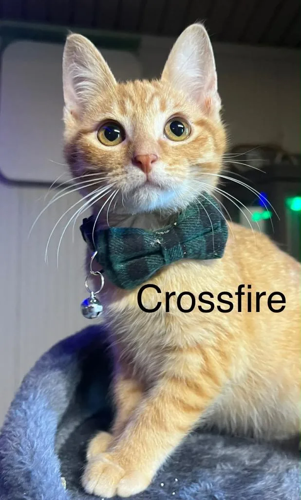 Crossfire