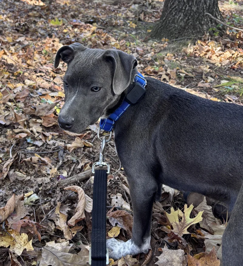 Spirit Success  Local thumbnail 2