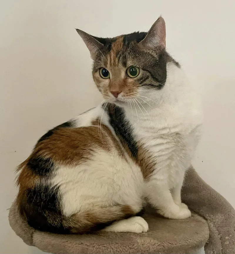 Mary  Nc thumbnail 2