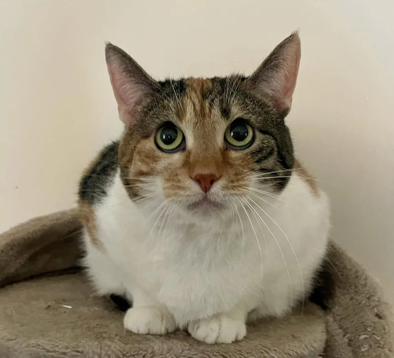 Mary  Nc thumbnail 4