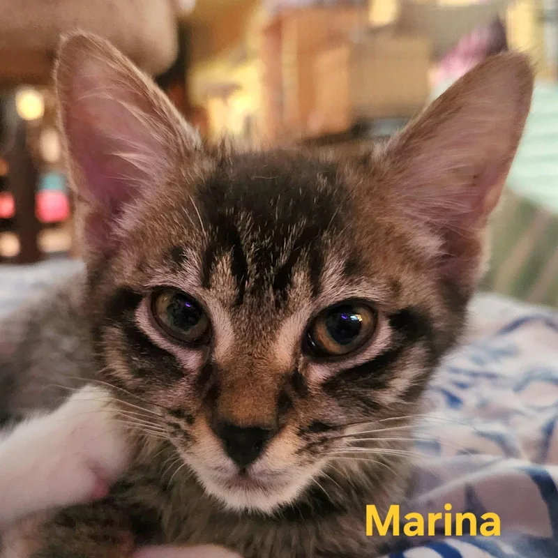 Marina thumbnail 2