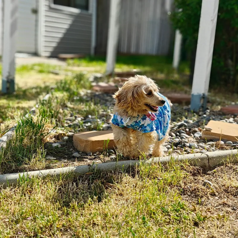 Abby thumbnail 5