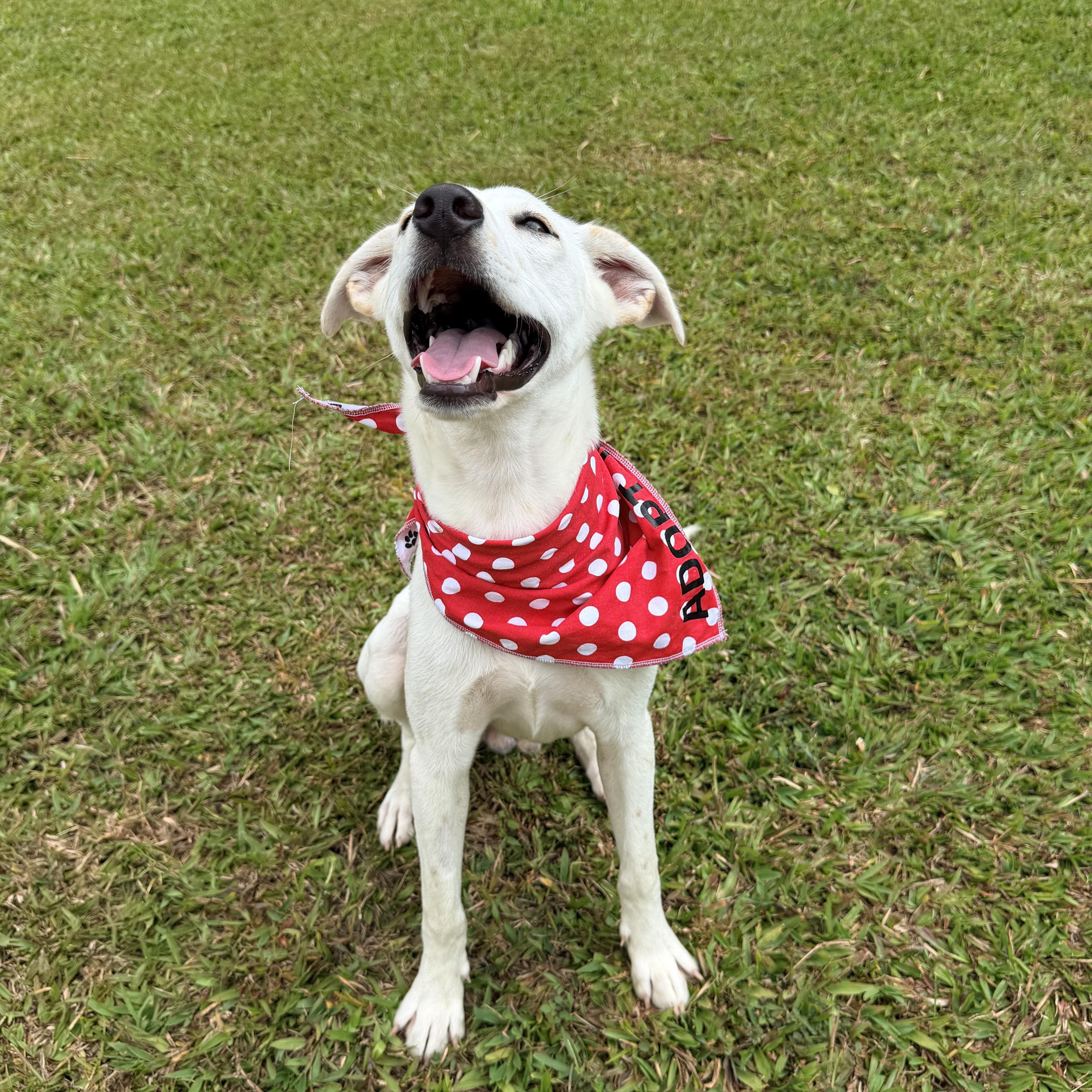 Porter So happy thumbnail 3