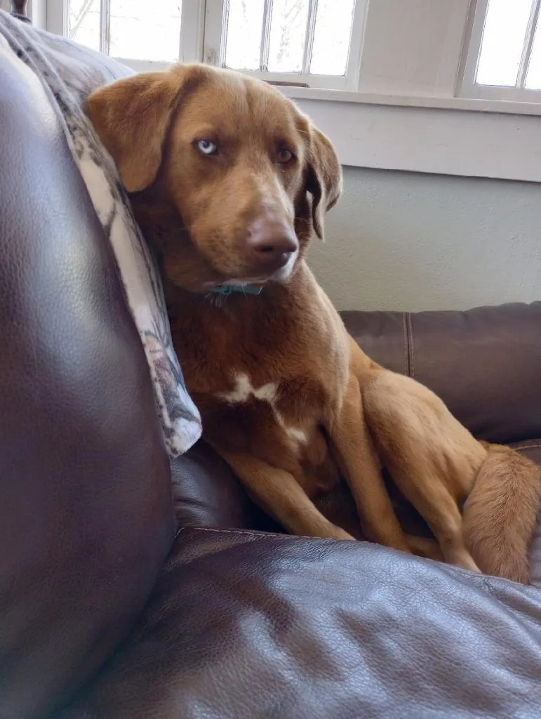 Courtney thumbnail 2