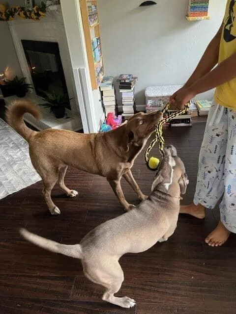 Courtney thumbnail 3