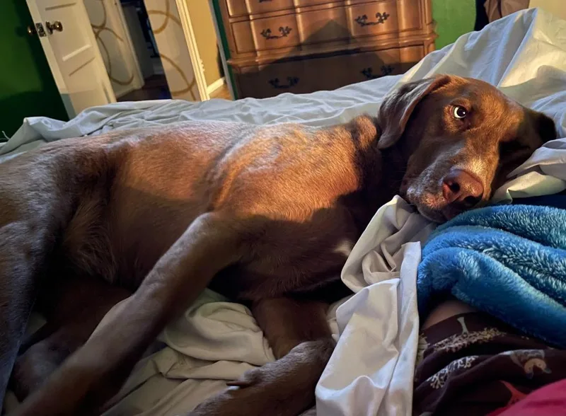 Courtney thumbnail 4