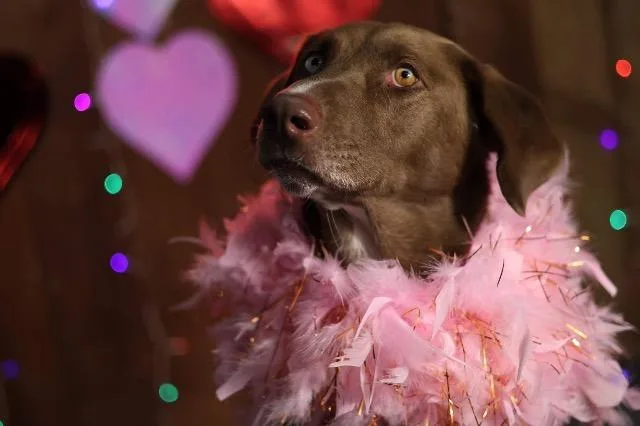 Courtney thumbnail 5