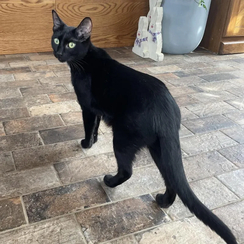 Brandy C thumbnail 2