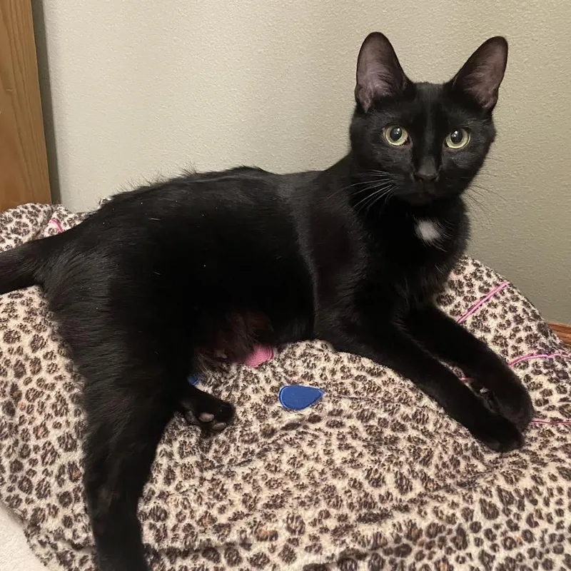 Brandy C thumbnail 3