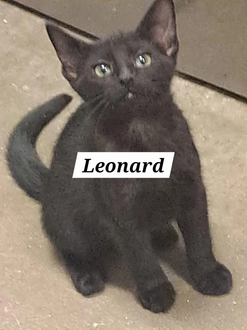 Leonard