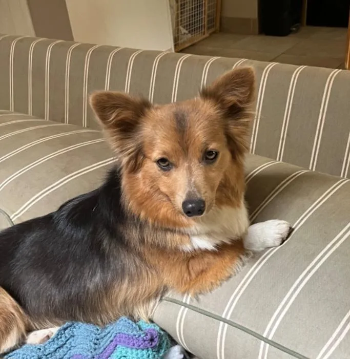Fiona