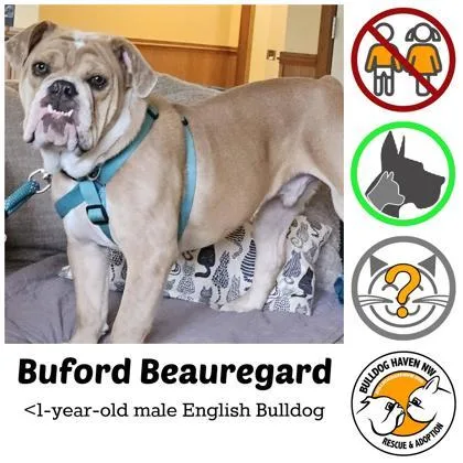 Buford Beauregard thumbnail 2