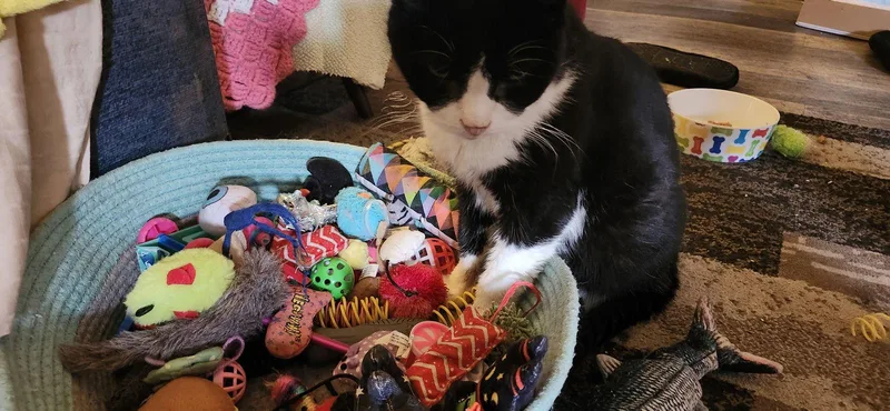 Lily Bearc sn Food thumbnail 2